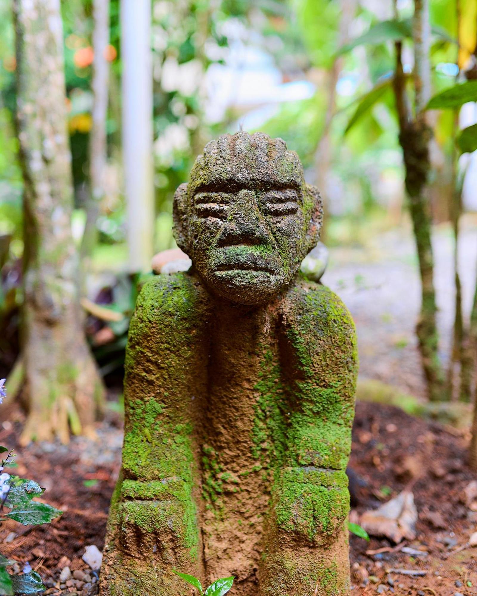 Puerto Viejo de Talamanca高山阳光旅舍别墅 外观 照片