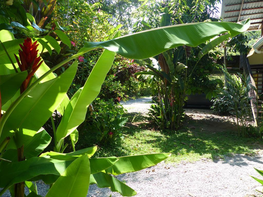 Puerto Viejo de Talamanca高山阳光旅舍别墅 外观 照片